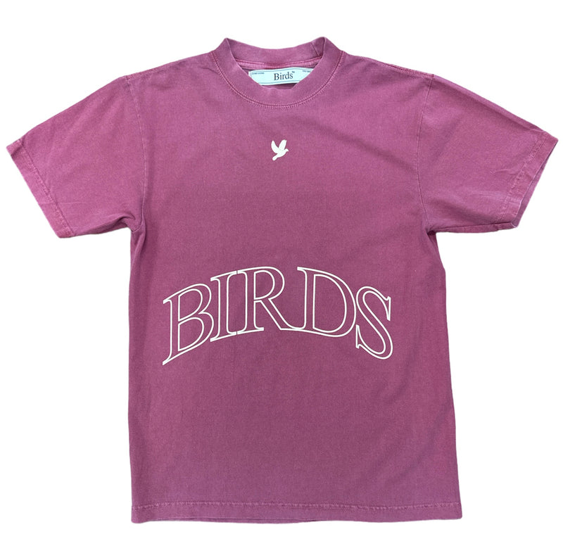 Birds "Banner" Washed Salmon Oversized S/S T-Shirt - Fresh N Fitted Inc
