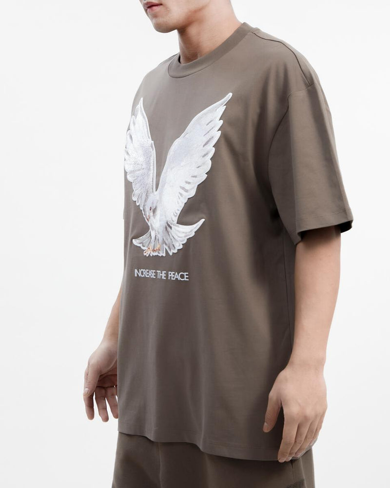 Roku Studio 'Neutral Dove' Oversized T-Shirt