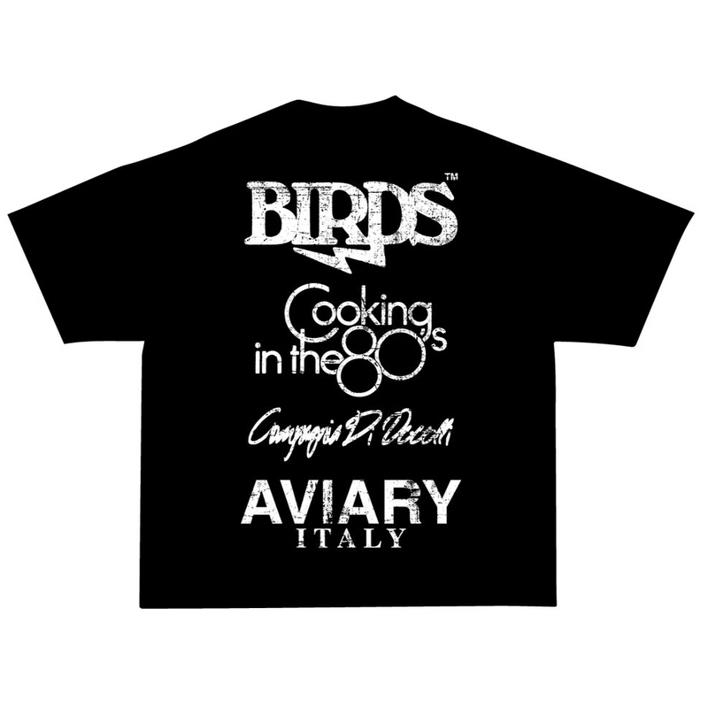 Birds "Stained Glass" Onyx Oversized Ultra Premium S/S T-Shirt