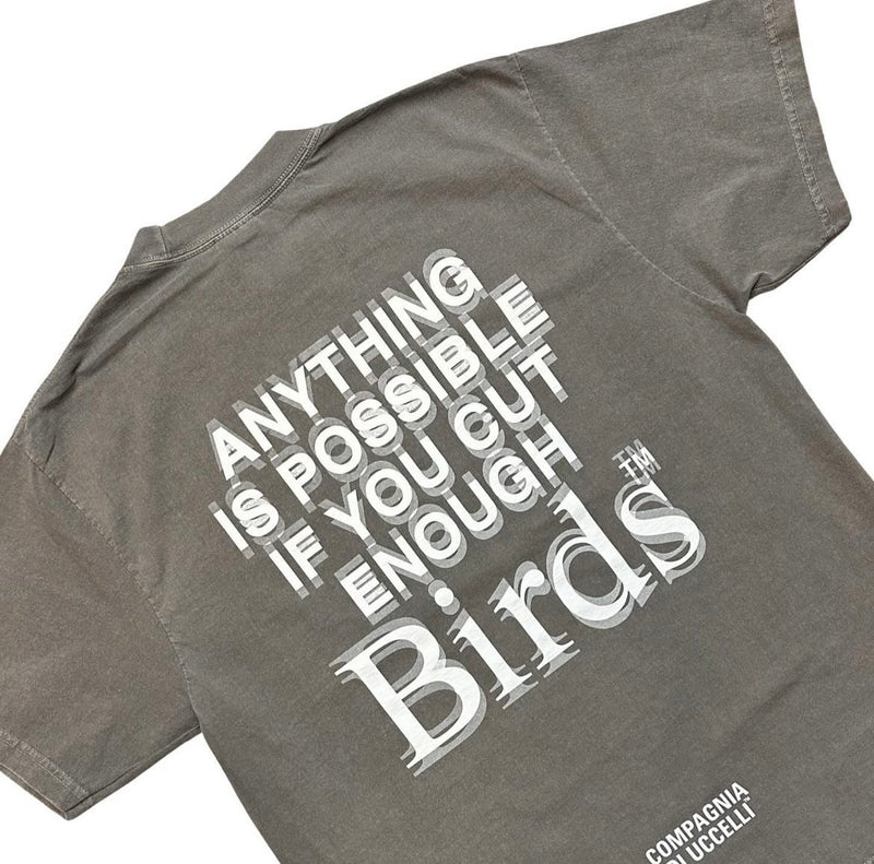 Birds "Anything Is Possible Sneak Peak” Cement Industrial Oversized S/S Box T-Shirt - Fresh N Fitted Inc