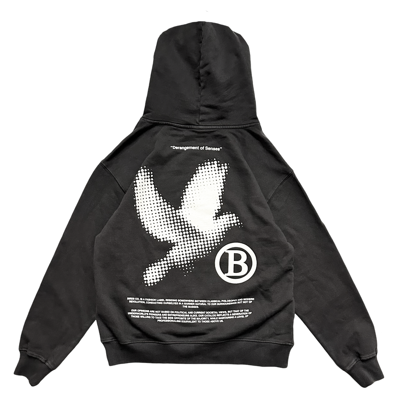 Birds 'Bird Sport' Onyx Ultra Premium Oversized French Terry Hoodie