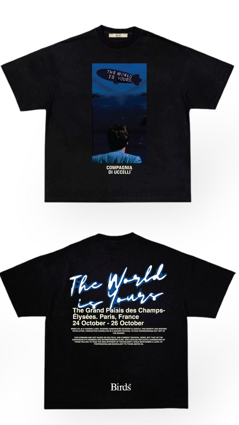 Birds 'The World Is Yours' Onyx Oversized Ultra-Premium Box S/S T-Shirt