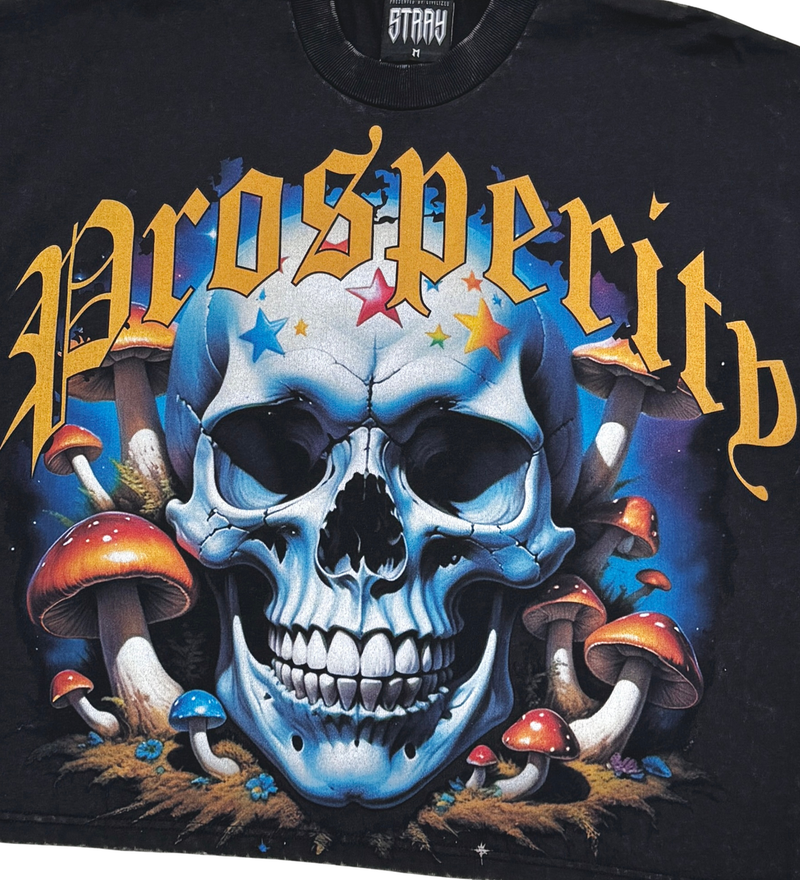 Stray 'Prosperity' Cropped T-Shirt (Black) ST1357