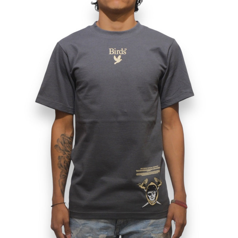 Birds "Raider" Charcoal Ultra-Premium Oversized S/S Box T-Shirt