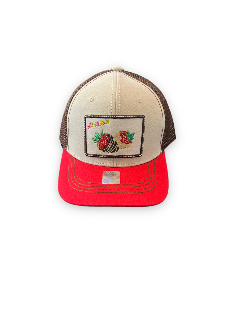 Pitbull Amaze In Life 'Strawberry Patch' Trucker Hat (Stone/Brown/Red) FD2STRSBR