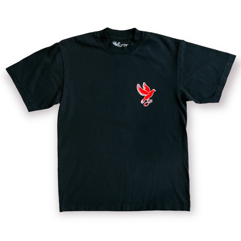 Yumm 'Messenger' Vintage Fit T-Shirt (Black/Red) YM2028